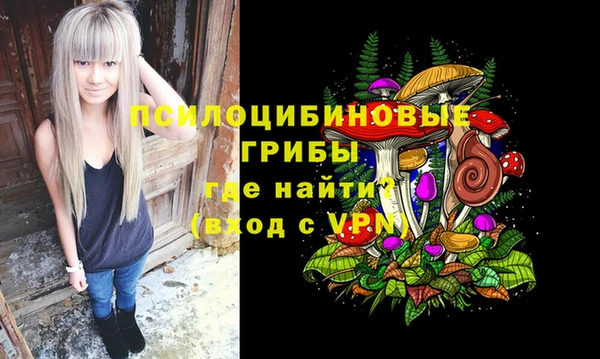 spice Лагань