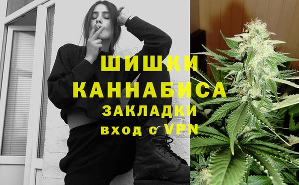 spice Лагань