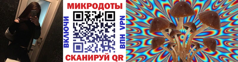 Галлюциногенные грибы ЛСД блэк спрут ссылка Тихвин