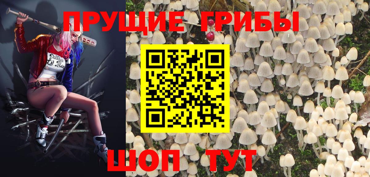 Галлюциногенные грибы ЛСД  Вход с VPN  Тихвин 